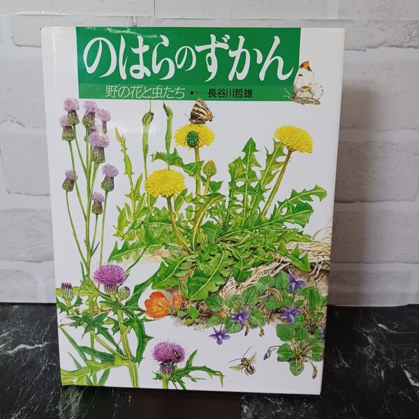 【クーポン可】【写真多め】のはらのずかん 野の花と虫たち (絵本図鑑シリーズ 12) 長谷川哲雄/作