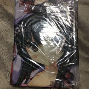 恋剣乙女 デュオロジー抱き枕カバー (ソフマップ)正規品