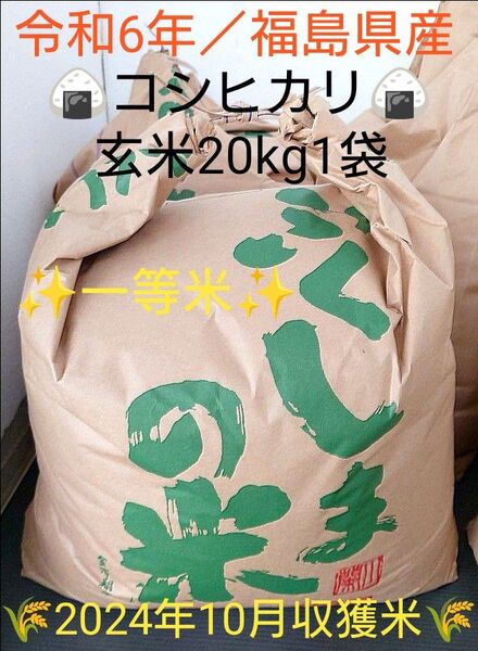 令和6年 福島県産コシヒカリ 一等米 玄米20kg 1袋【最終特価/現品限り!】
