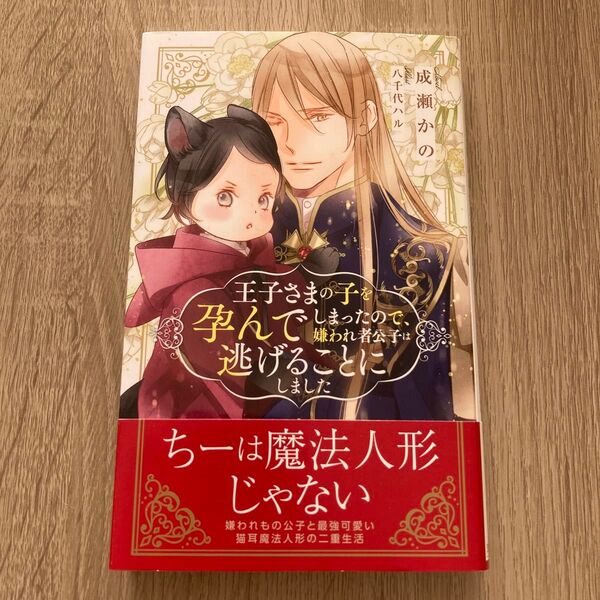 王子さまの子を孕んでしまったので、嫌われ者公子は逃げることにしました/成瀬かの BL小説