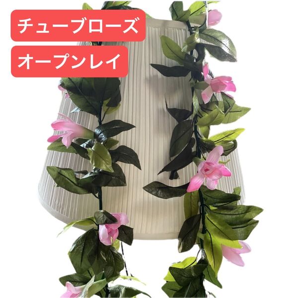【5本セット】ライトピンク チューブローズ オープンマイレレイ フラダンス