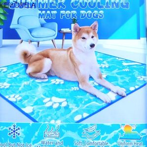 肉球柄 ペット用ひんやりクールマット 【約70cmx約100cm】