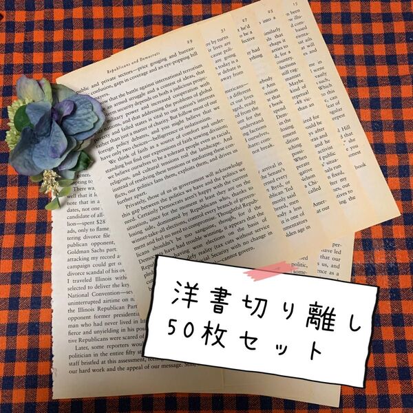 洋書ペーパー 切り離し 50枚セット