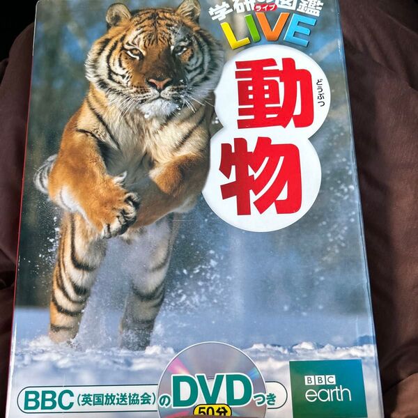 動物 (学研の図鑑LIVE 2) 今泉忠明/監修