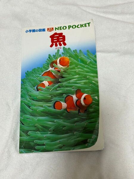 小学館の図鑑NEO pocket 魚