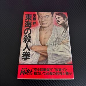 東海の殺人拳 安藤昇