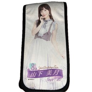 最終値下げ!ペンライトケース サービスペンライト2本