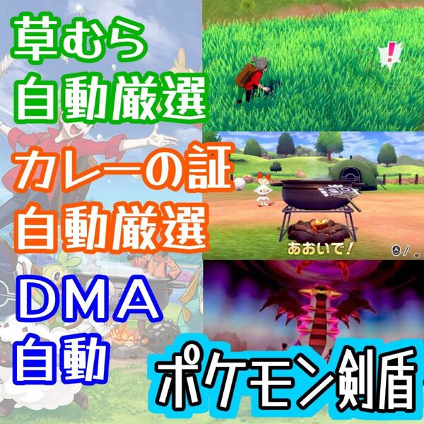 ポケモン剣盾草むら色厳選カレーの証厳選DMAエンドレスモード自動化コントローラー マイコン