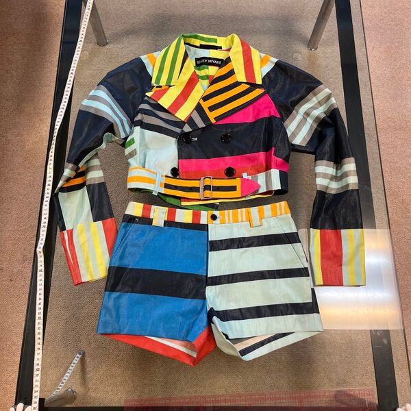 30年前以上デットストック ISSEY MIYAKE アートセットアップ レディースサイズ2