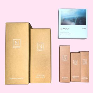 N organic Basic スキンケア・ファンデーション セット