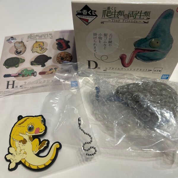 爬虫類&両生類一番くじ D賞 レプタイルズヘッドマグネット アオジタトカゲ H賞セット