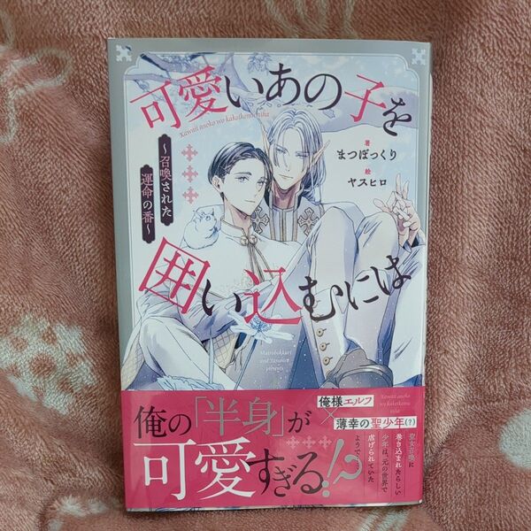 可愛いあの子を囲い込むには 召喚された運命の番 (&arche NOVELS) まつぼっくり/著