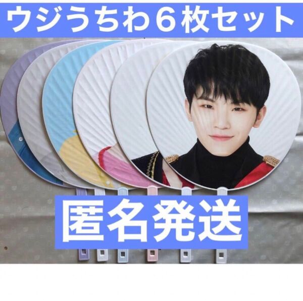 【公式】ウジ うちわ 6枚 セットSEVENTEEN セブチ
