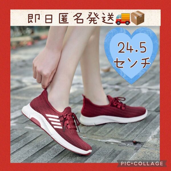 レディース スニーカー ウォーキング ランニング ジム 運動靴 メッシュ 軽量 24.5cm