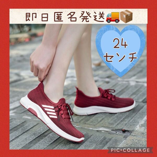 レディース スニーカー ウォーキング ランニング ジム 運動靴 メッシュ 軽量 24cm