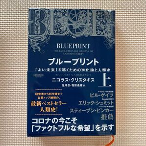 ブループリント 「よい未来」を築くための進化論と人類史 上