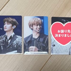 TIMELESS WORLD IN CINEMAS 前売特典 キムテレ、キムギュビン 2枚セット