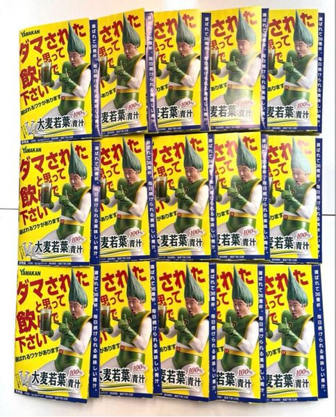 新品 未使用 未開封 大麦若葉青汁 100% 30包 賞味期限2027年12月 野菜摂取不足と感じた日にはどうぞ。ずぼらでも大丈夫