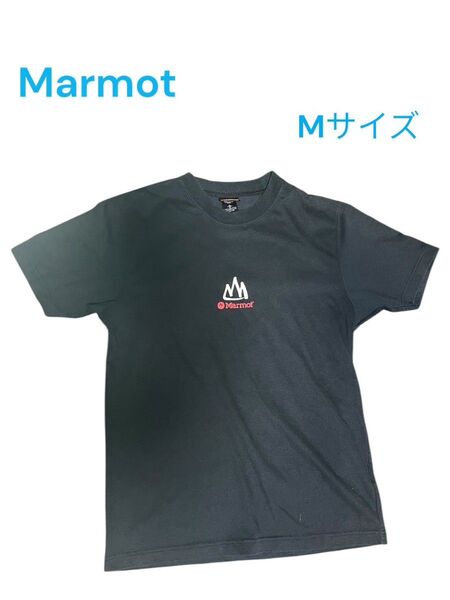 Marmot マーモット Tシャツ Mサイズ アウトドア グランジ Aライン