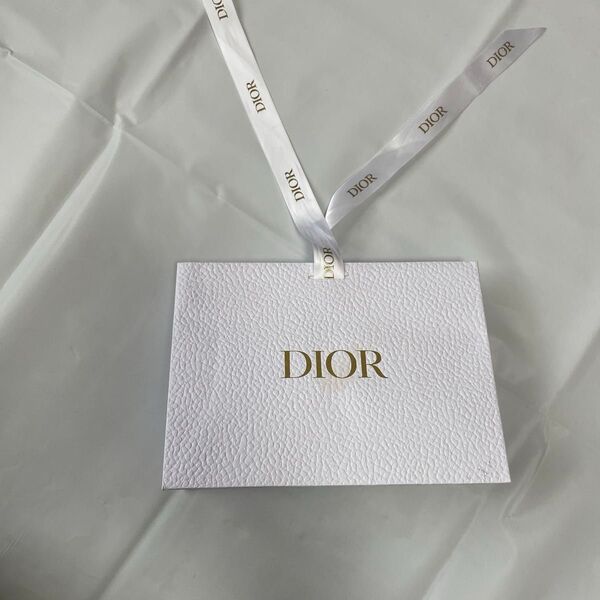Dior ディオール Christian DIOR リボン付き 紙袋 ショップ袋 ショッパー ネックレス