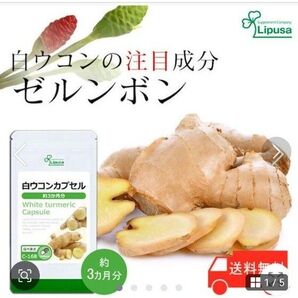 国産 白ウコン カプセル ひざ サポート 歩行 や 階段 昇り 降り 膝関節 の悩み