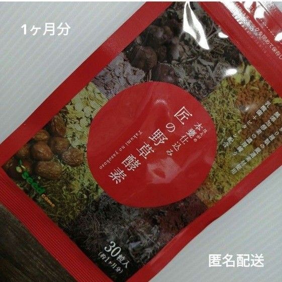 サプリメント 匠の野草酵素 約1ヵ月分 酵素 練酵素 生酵素