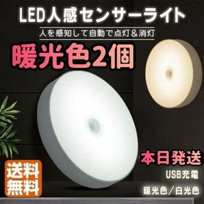 人感センサーライト 暖光色 2個セット LED人感センサーライト LEDライト センサーライトライト 電球色 LED 自動点灯