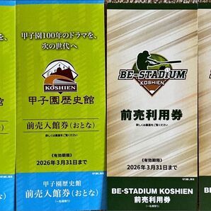 甲子園歴史館 ビースタジアム甲子園 チケット