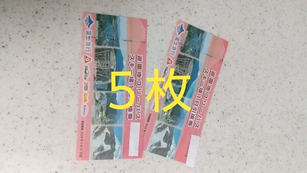 富士急ハイランドフリーパス5枚