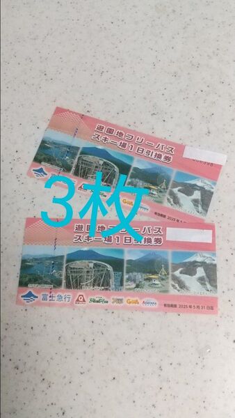 富士急ハイランドフリーパス