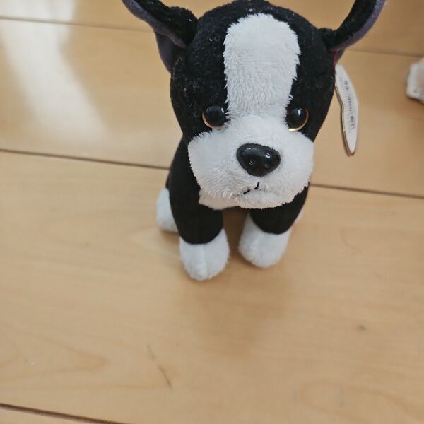 TY Beanie Babies ぬいぐるみ ボストンテリア