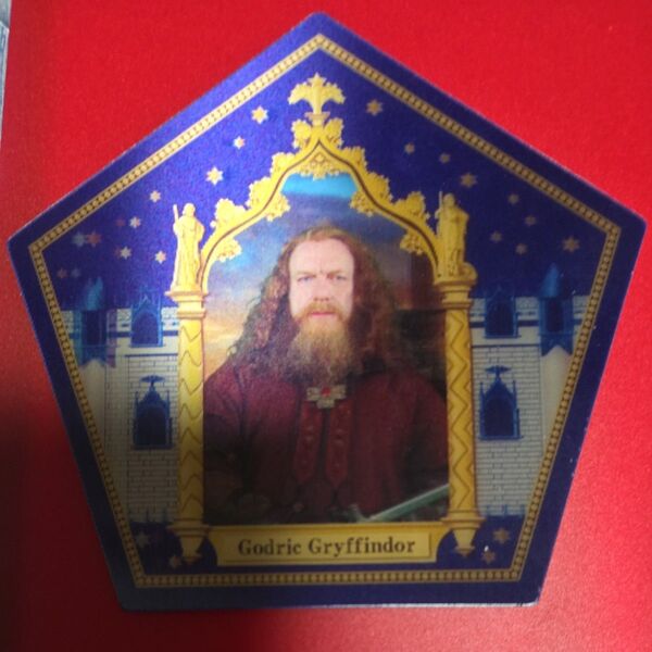 カエルチョコ ハリーポッター Godric Gryffindor 3Dカード