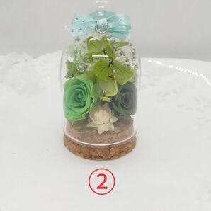 ②【お値下げ】【ガラスドーム】グリーン プリザーブドフラワー No.107
