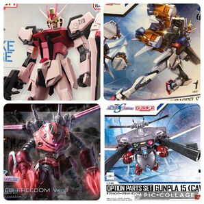 hg ズゴックSEED FREEDOMキャバリアーアイフリット ガンバレルストライカー eg ストライクルージュ