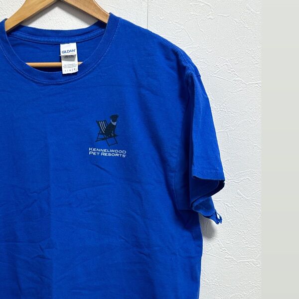 GILDANシャツ Lサイズ ブルー