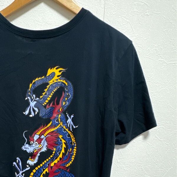 【超希少】ナイキ エスビー 火の玉 ドラゴン 龍 L Tシャツ