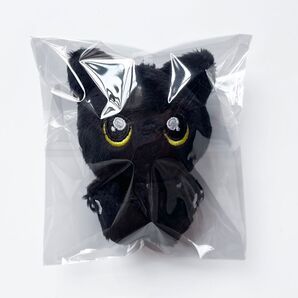 ENHYPEN エナイプン ジェイ ぬいぐるみ キーホルダー 10cm