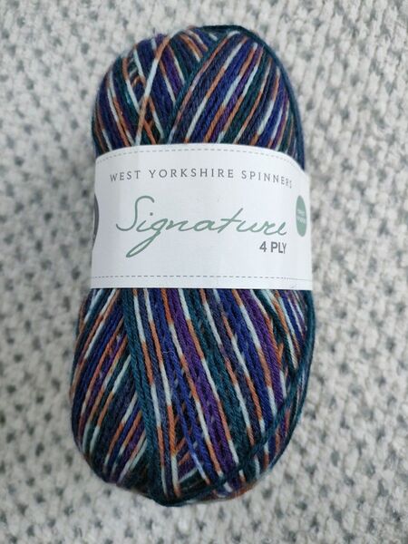 West Yorkshire Spinners Signature 1169★ソックヤーン毛糸