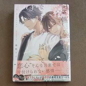 篠崎マイ 1冊 400円
