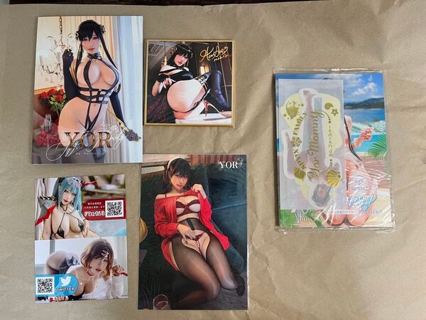 Hane Ame/写真集/SPY FAMILY/ヨルフォージャー/コスプレイヤー/内1冊は未開封(写真右側)