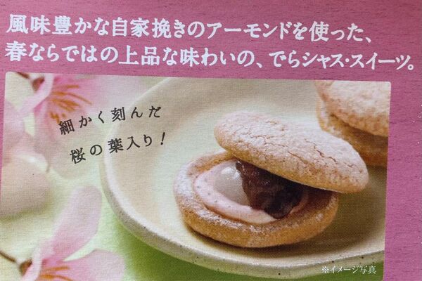 早い者勝ち!希少な名古屋ふらんす 4個