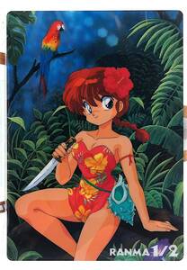 [Unopened New Item][Delivery Free]1990s Ranma1/2 B5 Underlay(Sous-couche)Jungle らんま1/2 下敷き[tag00Underlay]