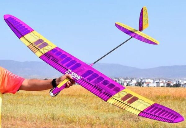 Magic Electric F3RES バルサkit 2m