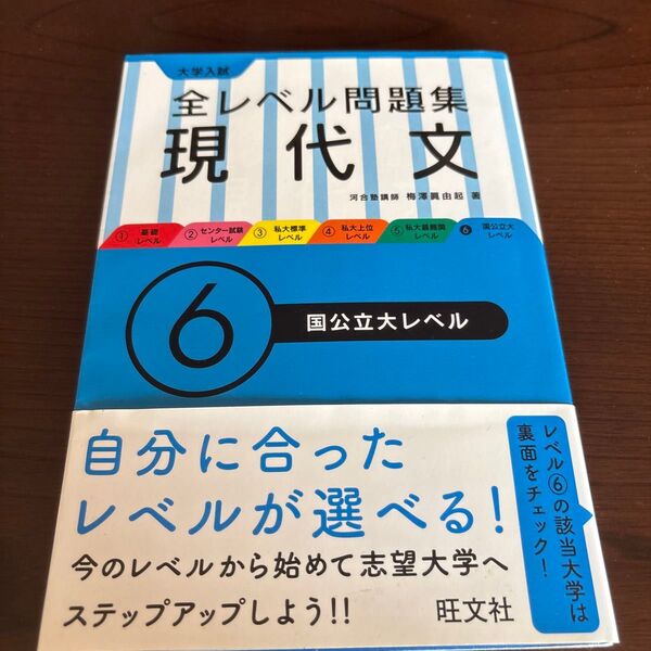 大学入試全レベル問題集 現代文