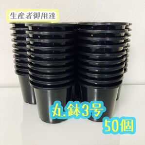 3号 丸鉢 ◎50個◎黒 アガベ 園芸 多肉植物