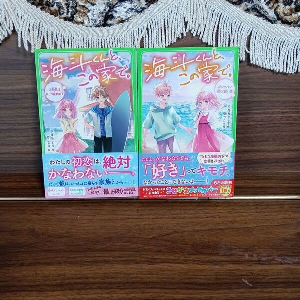 海斗くんと、この家で。☆①初恋はひとつ屋根の下&②イチバン近くて遠い恋☆2冊セット