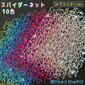 キラキラ☆スパイダーネット10色SET☆15cm×21cmサイズ(グリッターパウダーメッシュ)