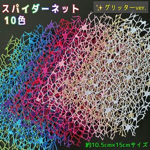 グリッターパウダー付スパイダーネット10色SET◇お試し10.5cm×15cmミニサイズ