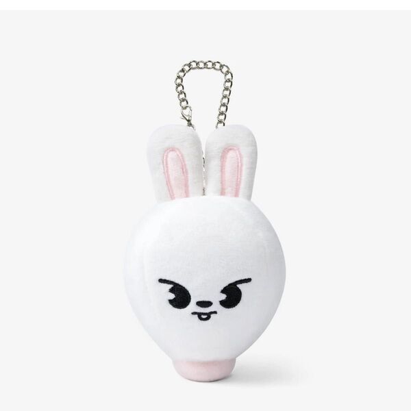 新品未使用 straykids ストレイキッズ skz スキズ リノ Leeknowリービット Leebit バックチャーム