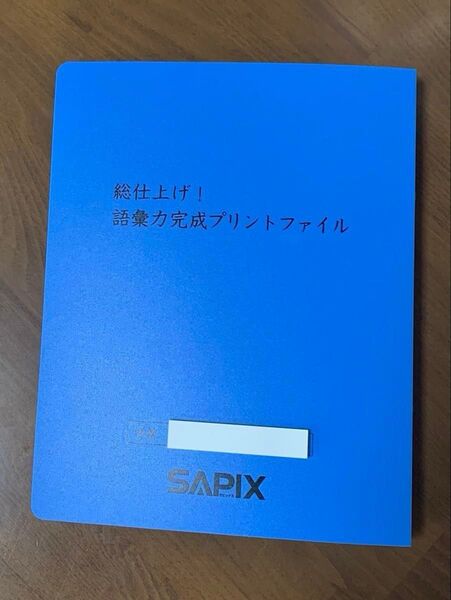 SAPIX 国語 語彙力完成プリント 冬期講習全6回、正月講習全4回、ss特訓全14回 合計24回セット中学受験